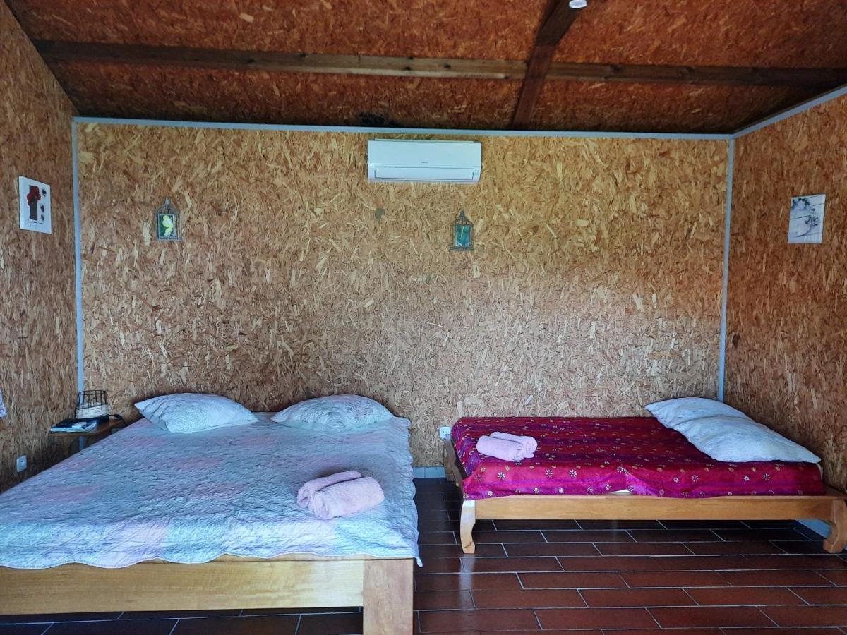 Ferme Auberge Le Ti'Planteur Saint-Philippe Ngoại thất bức ảnh