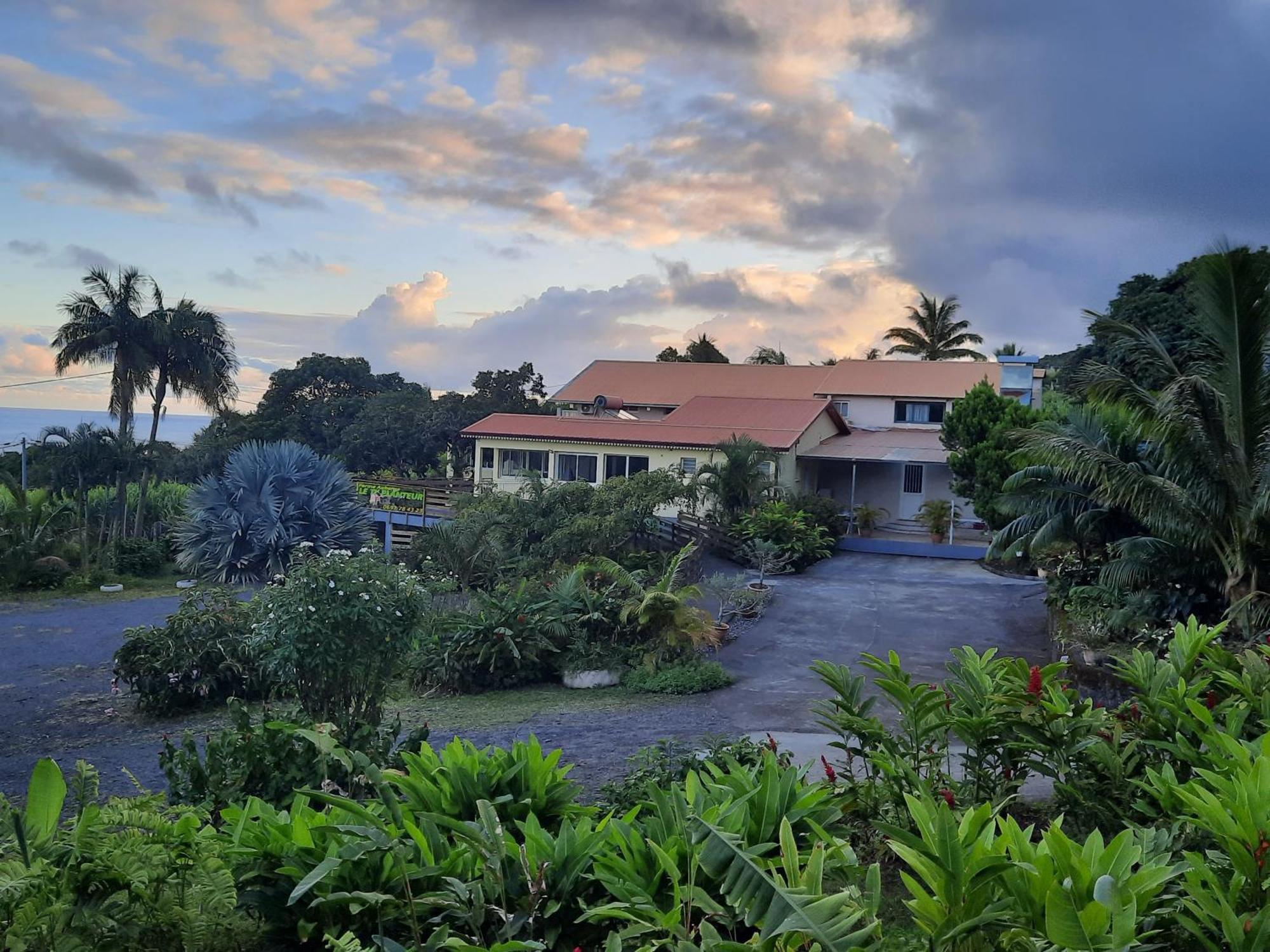 Ferme Auberge Le Ti'Planteur Saint-Philippe Ngoại thất bức ảnh